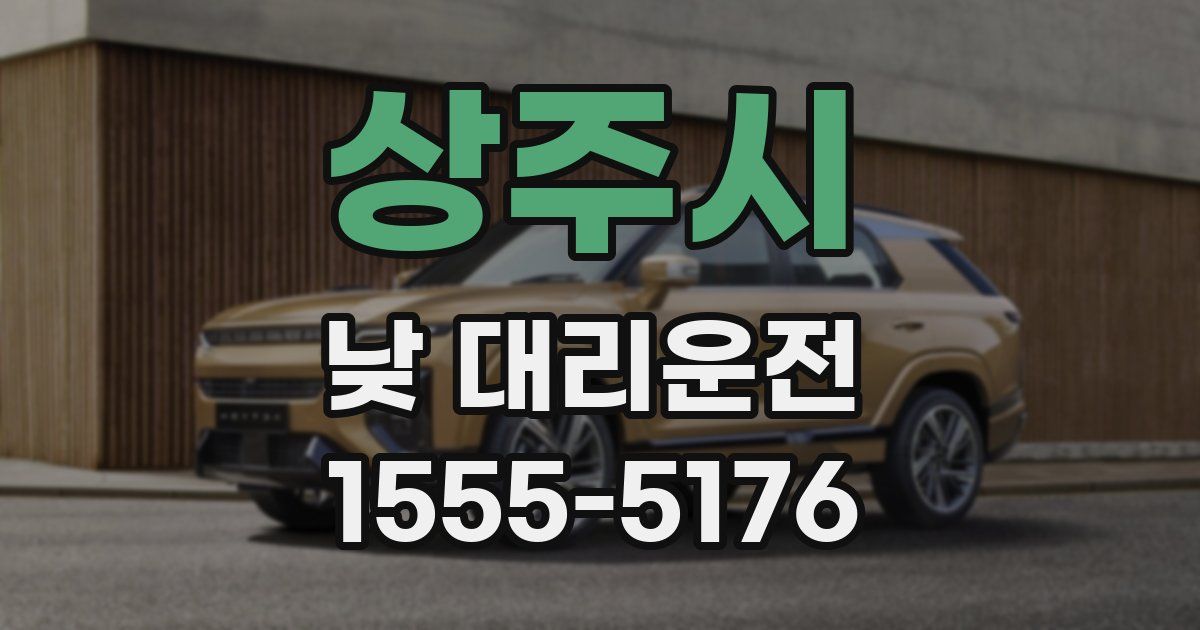 상주시 낮 대리운전