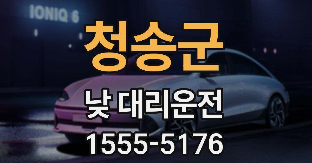 청송군 낮 대리운전