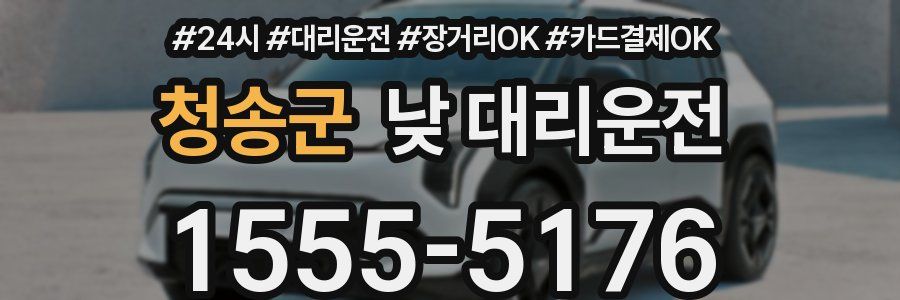 청송군 낮 대리운전