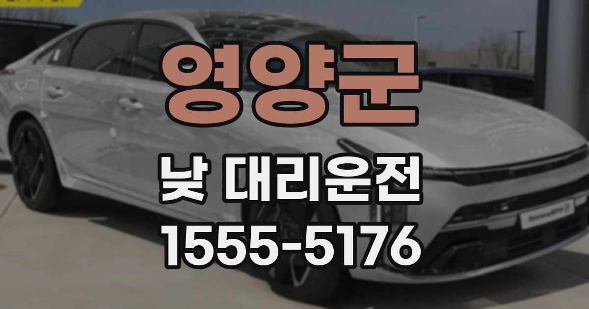 영양군 낮 대리운전