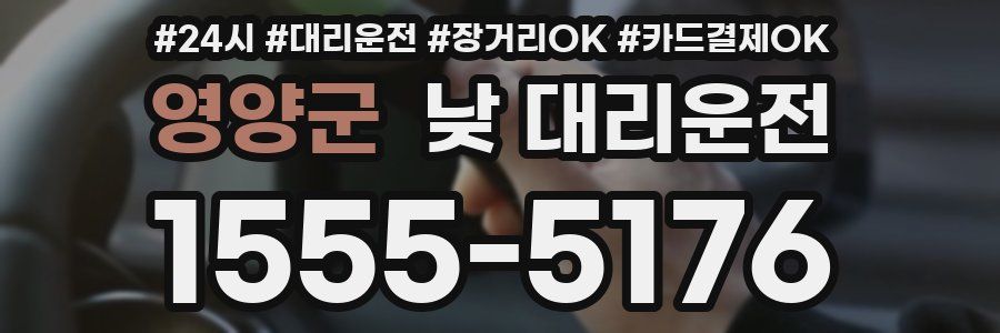 영양군 낮 대리운전