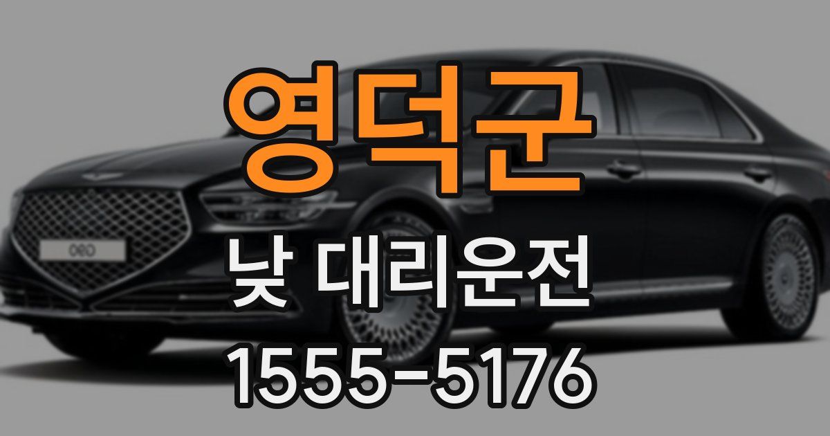 영덕군 낮 대리운전