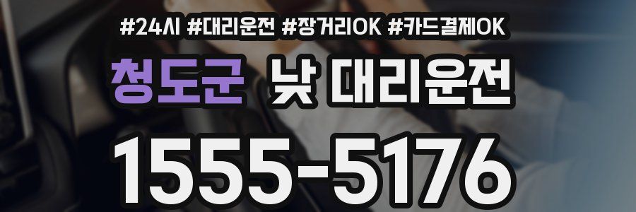 청도군 낮 대리운전