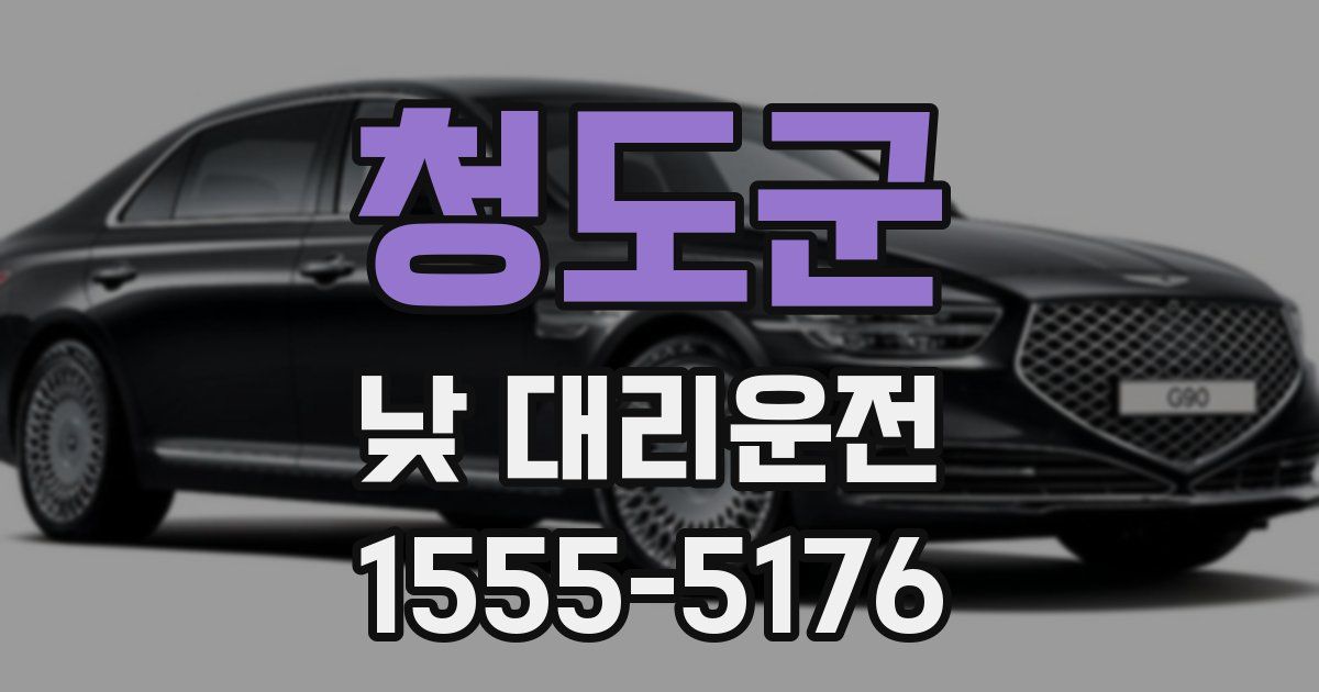 청도군 낮 대리운전
