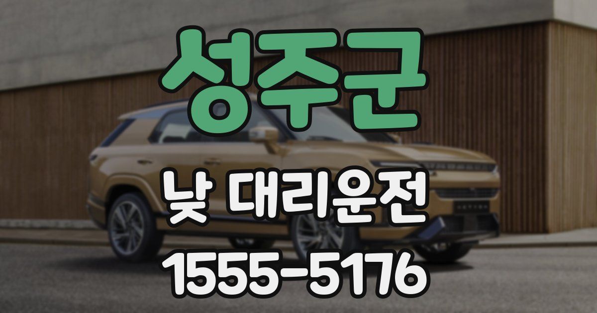 성주군 낮 대리운전