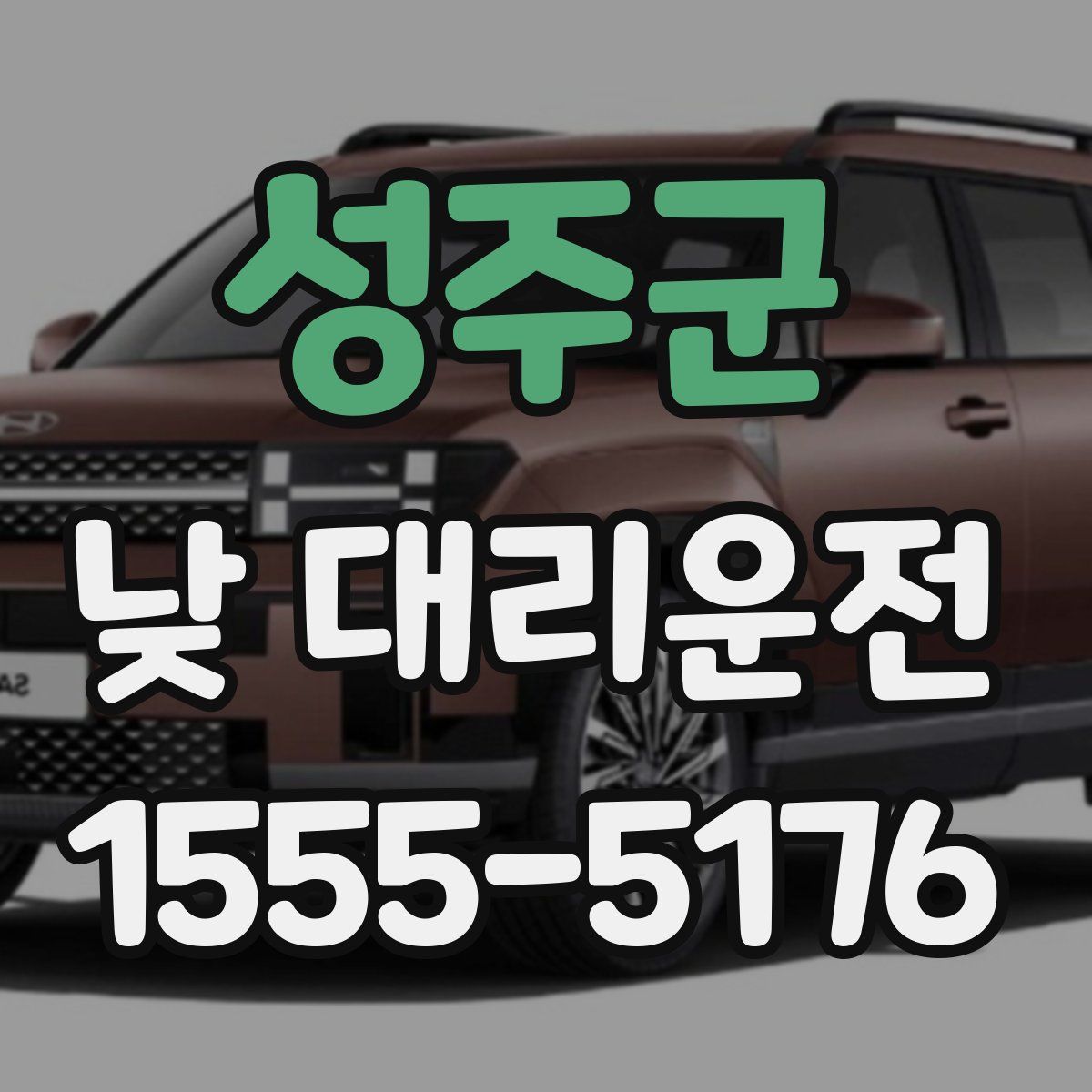 성주군 낮 대리운전