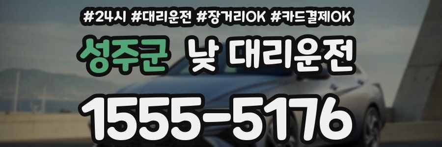 성주군 낮 대리운전