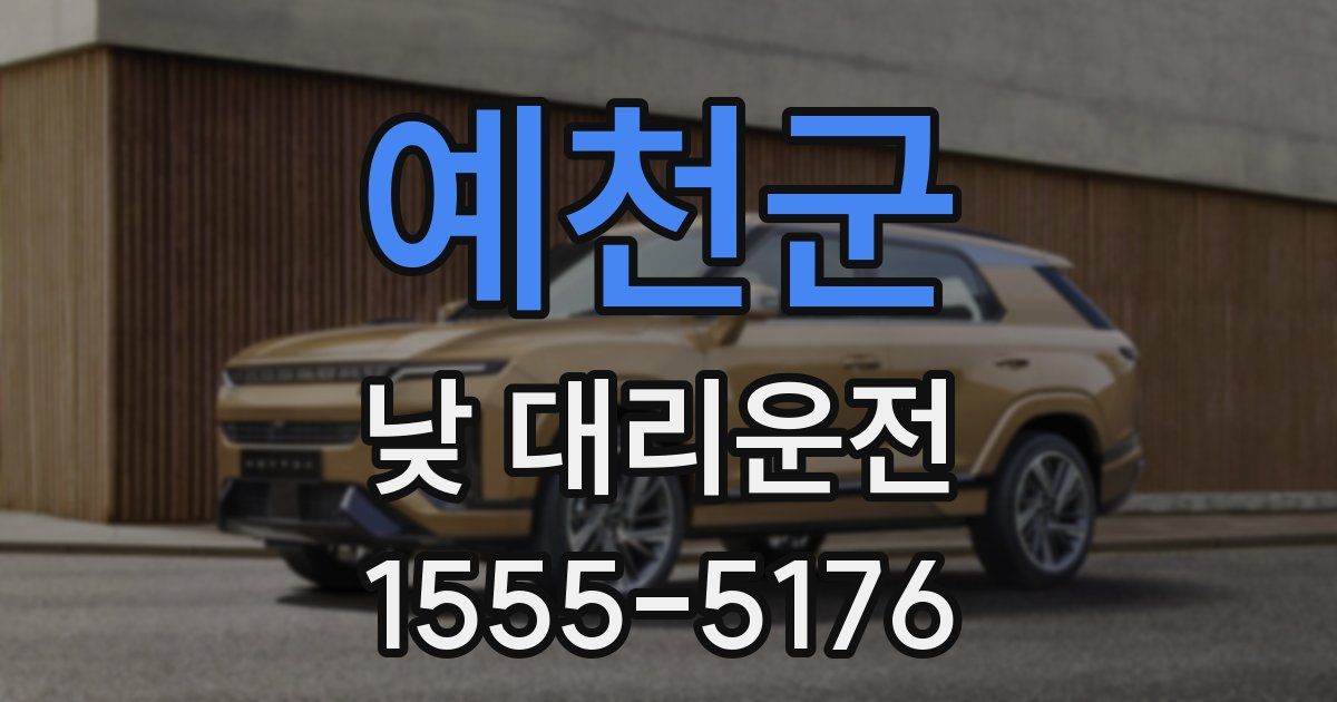 예천군 낮 대리운전