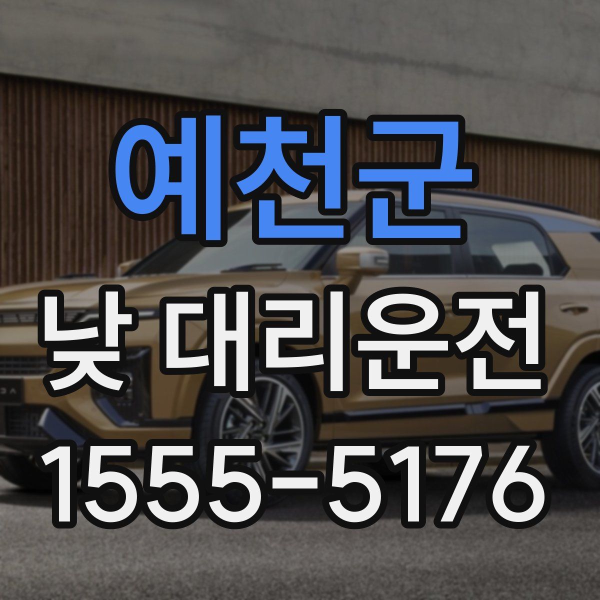 예천군 낮 대리운전