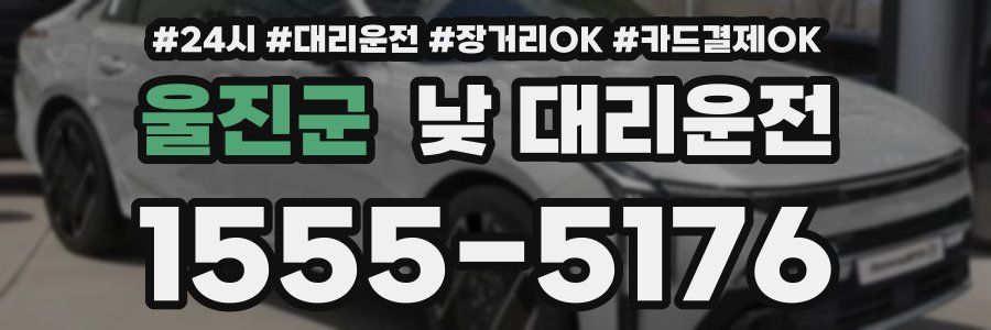울진군 낮 대리운전