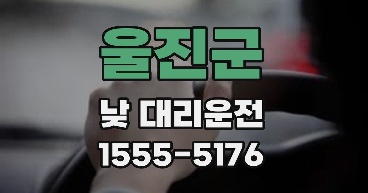 울진군 낮 대리운전