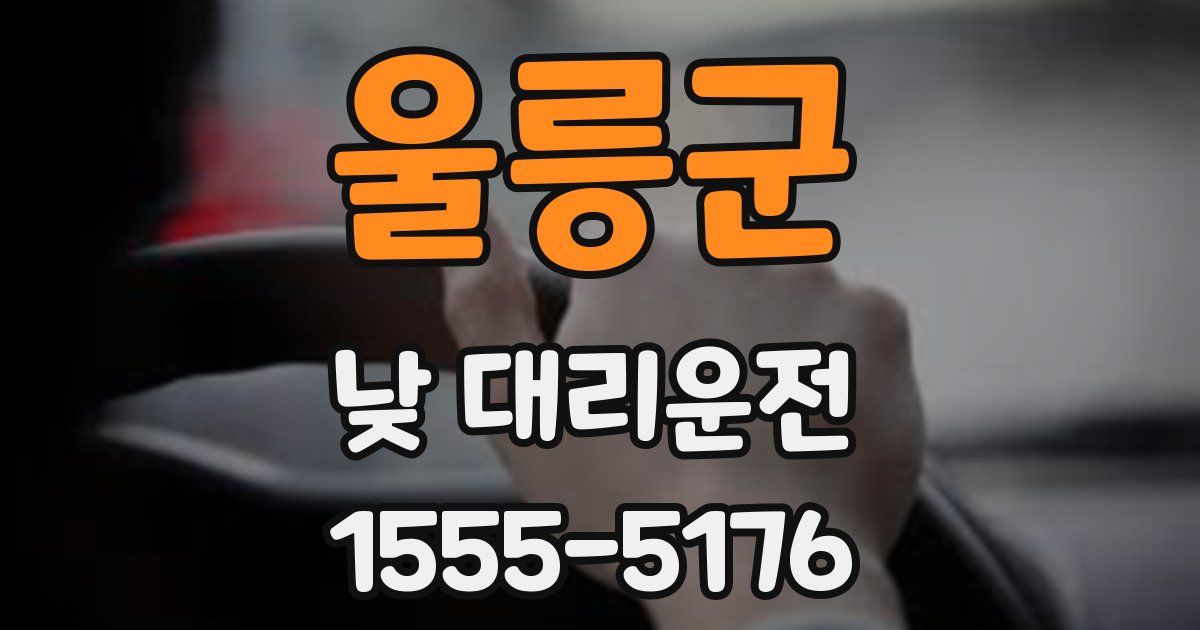 울릉군 낮 대리운전