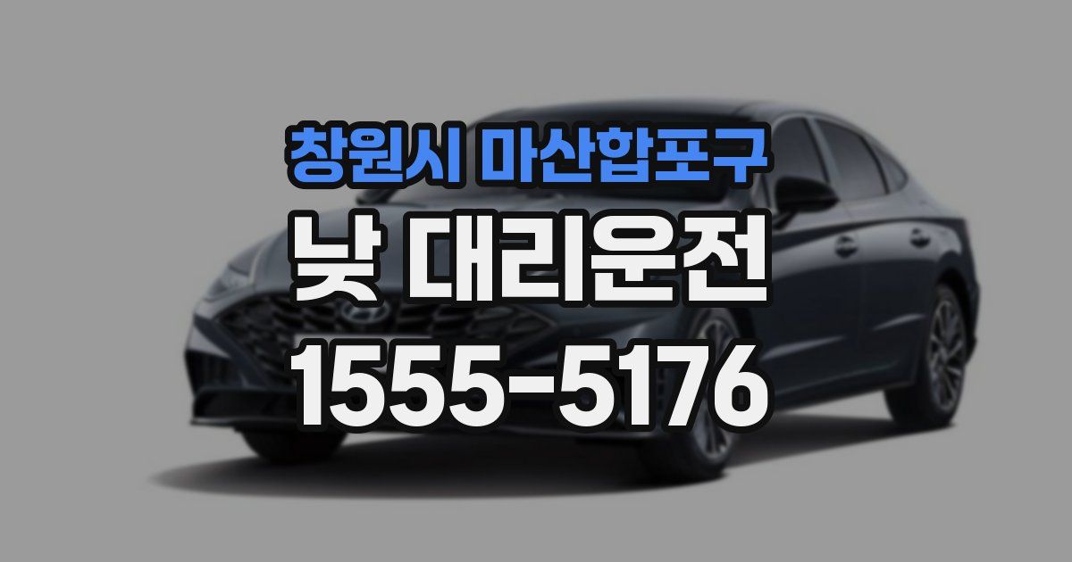 창원시 마산합포구 낮 대리운전