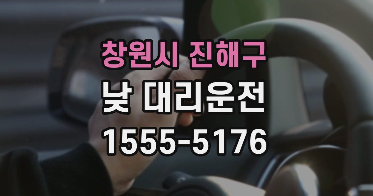 창원시 진해구 낮 대리운전