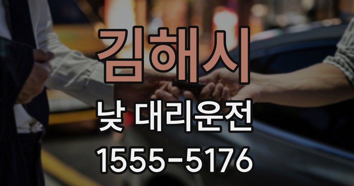김해시 낮 대리운전