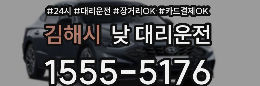 김해시 낮 대리운전