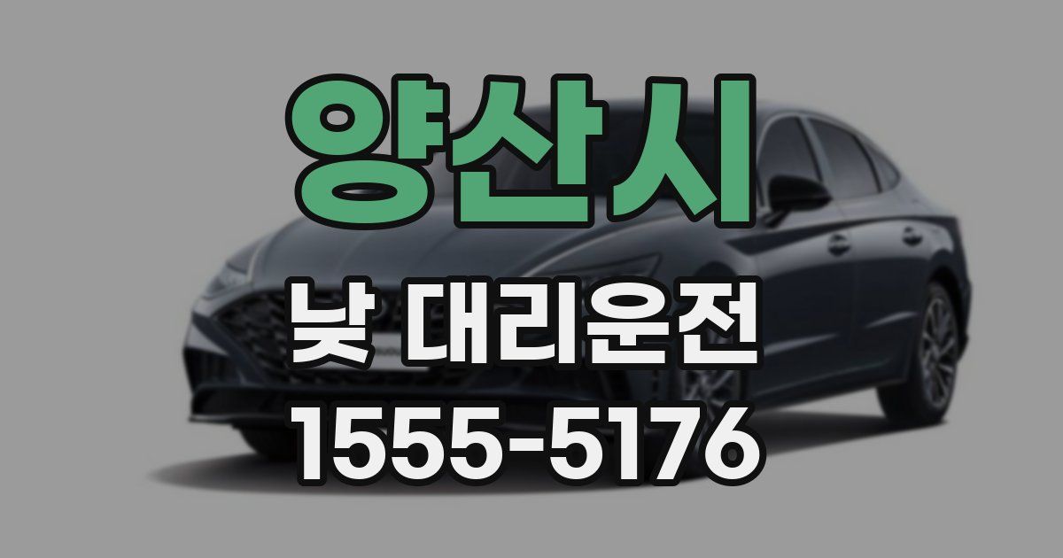 양산시 낮 대리운전