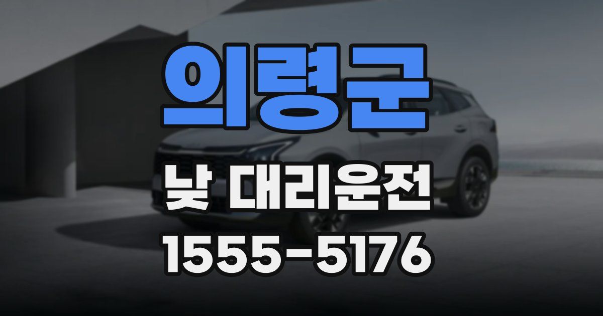 의령군 낮 대리운전