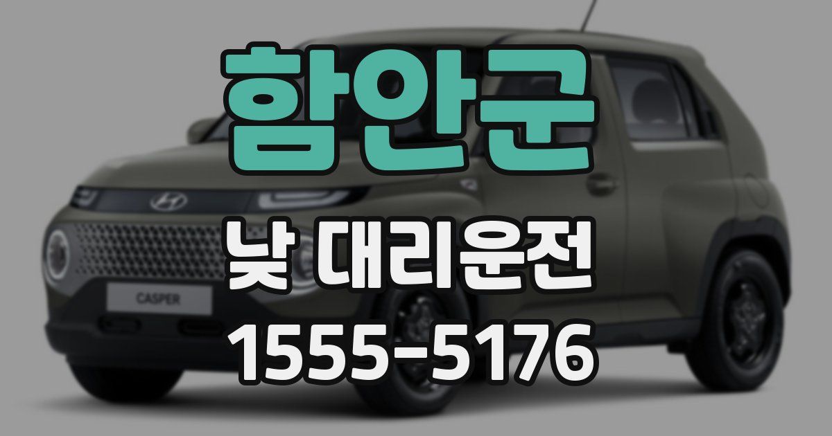함안군 낮 대리운전