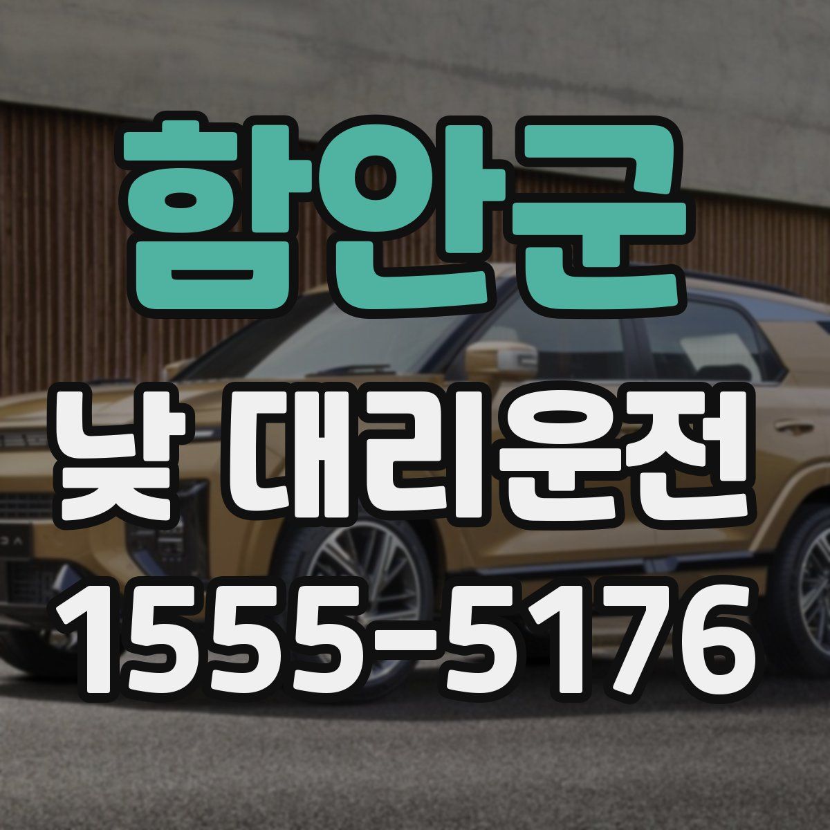 함안군 낮 대리운전