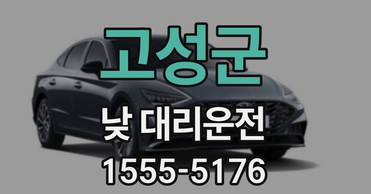 고성군 낮 대리운전