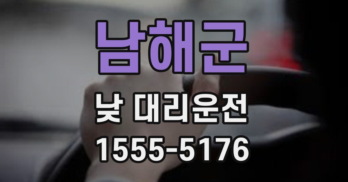 남해군 낮 대리운전