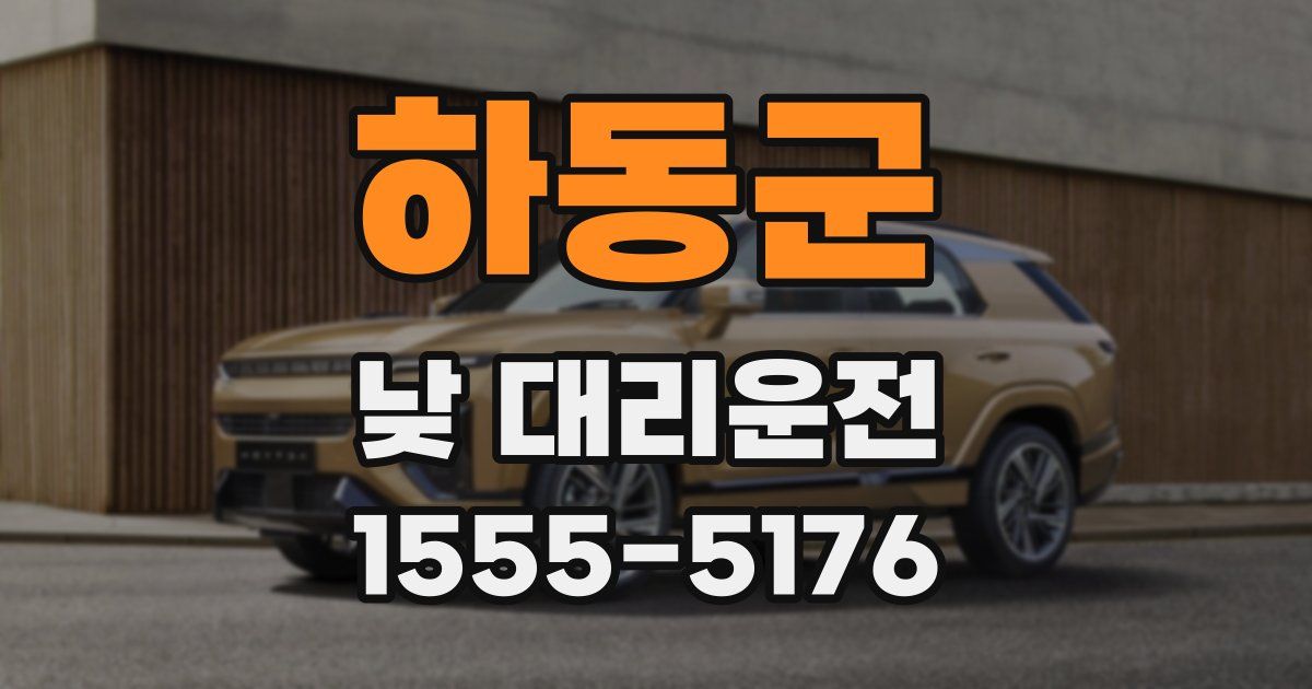 하동군 낮 대리운전