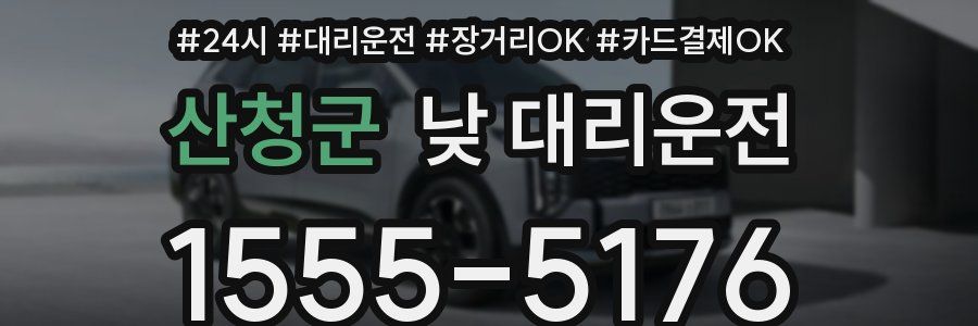 산청군 낮 대리운전