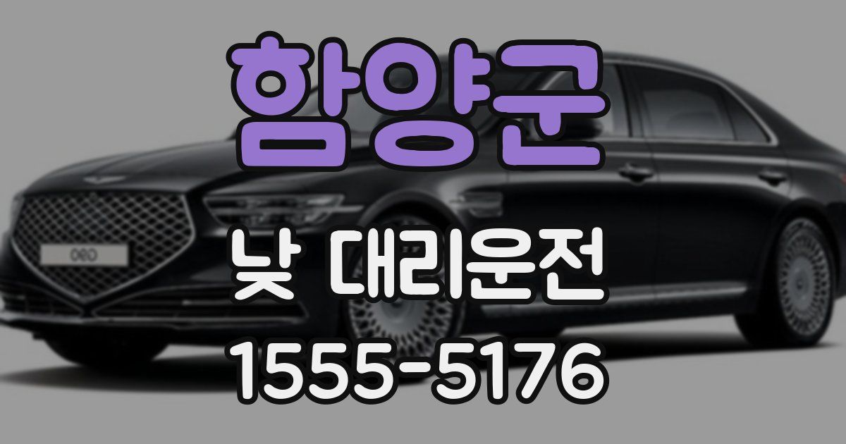 함양군 낮 대리운전