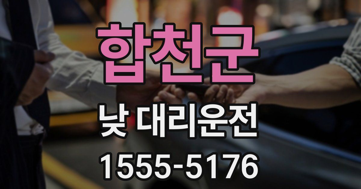 합천군 낮 대리운전