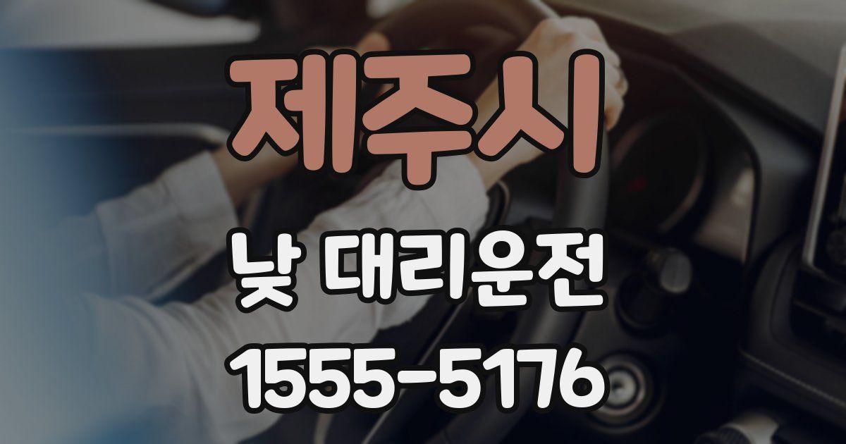 제주시 낮 대리운전