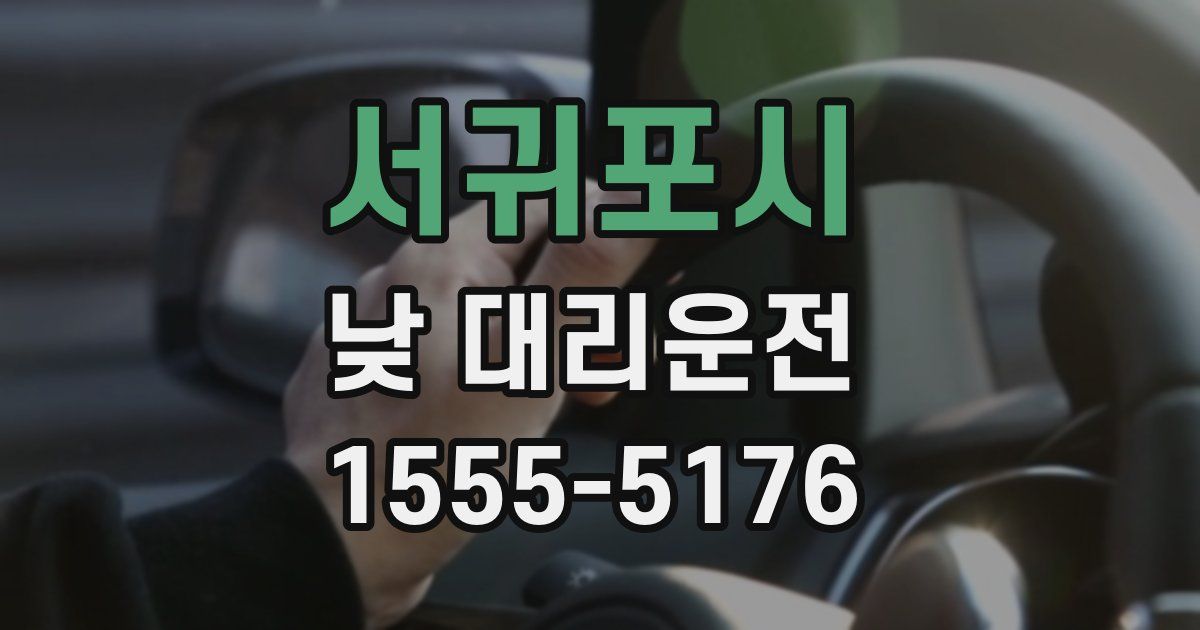 서귀포시 낮 대리운전