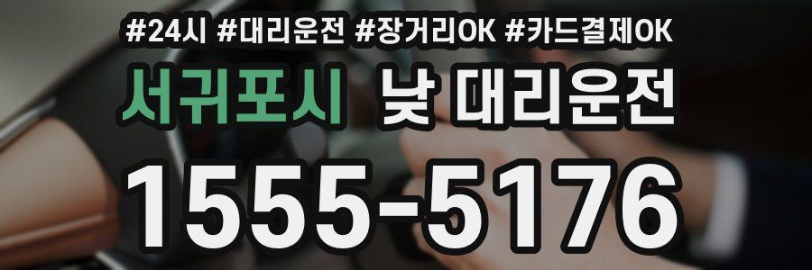서귀포시 낮 대리운전
