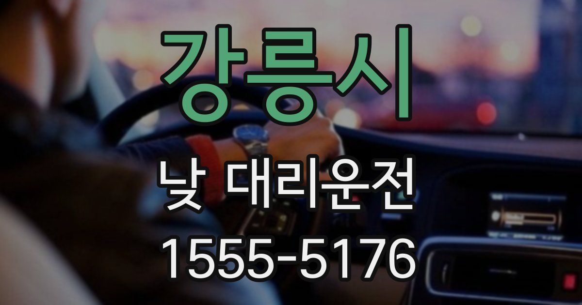 강릉시 낮 대리운전