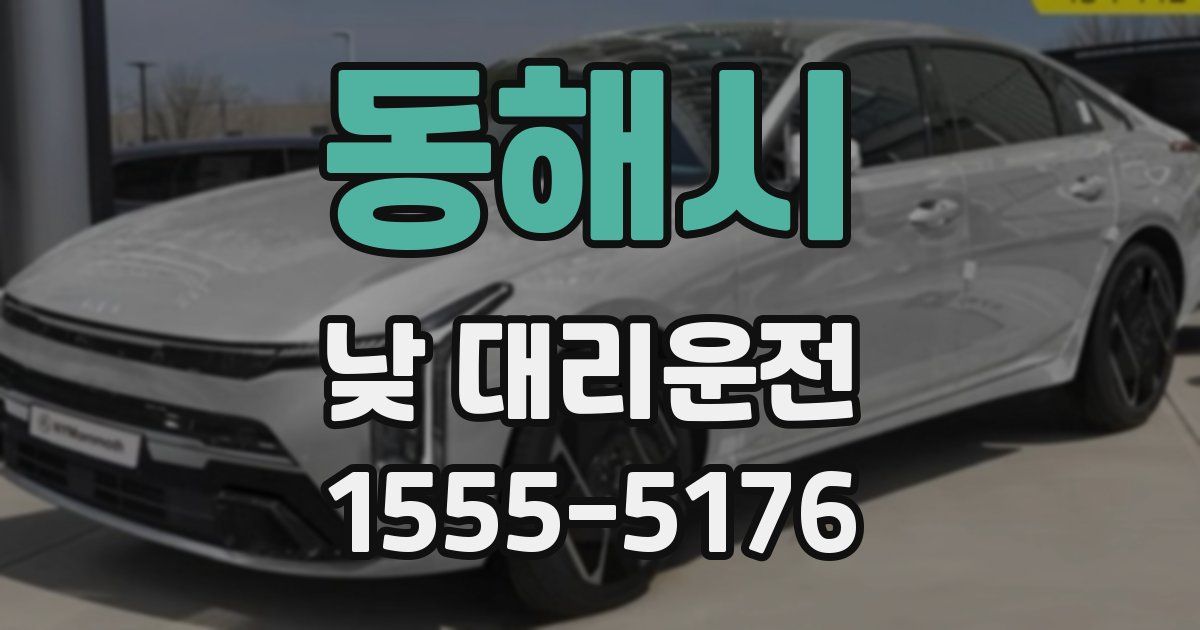 동해시 낮 대리운전