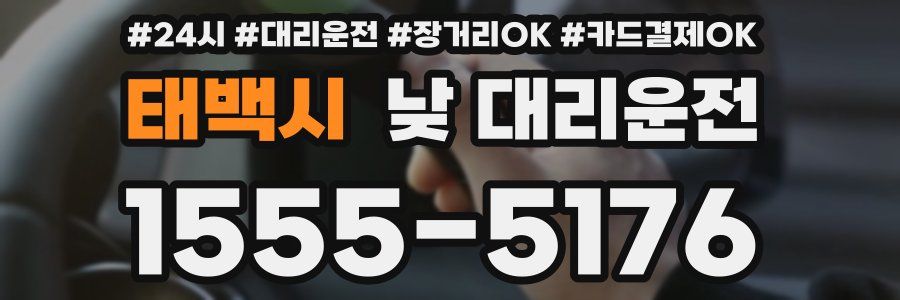 태백시 낮 대리운전