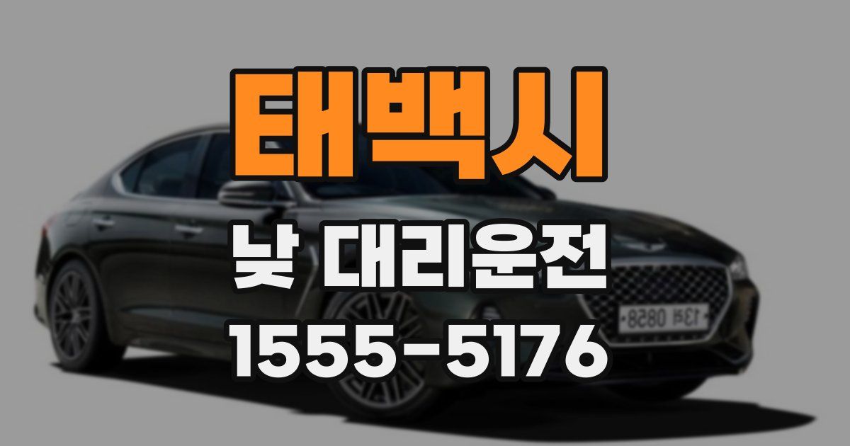 태백시 낮 대리운전