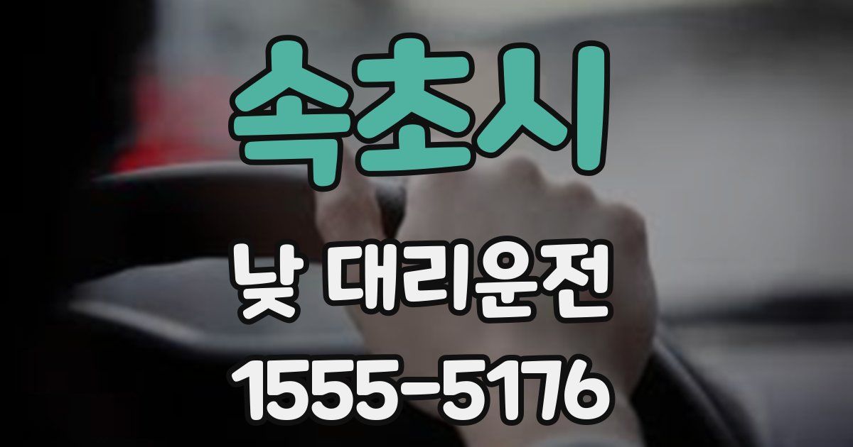 속초시 낮 대리운전