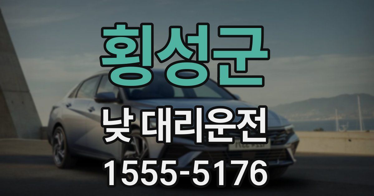 횡성군 낮 대리운전