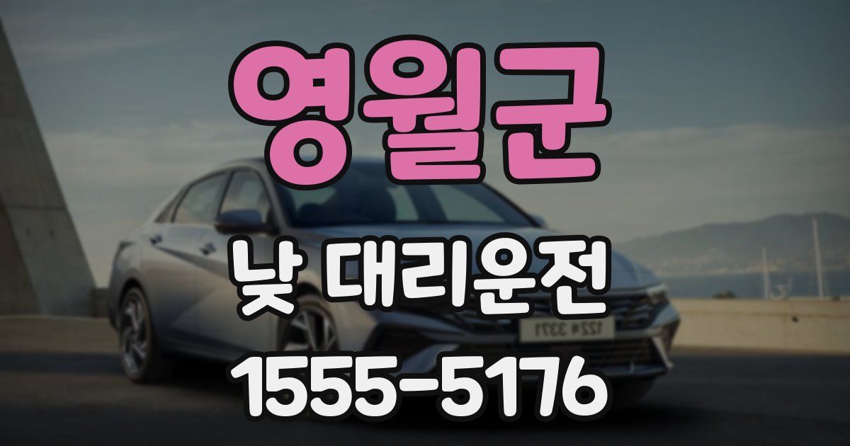 영월군 낮 대리운전