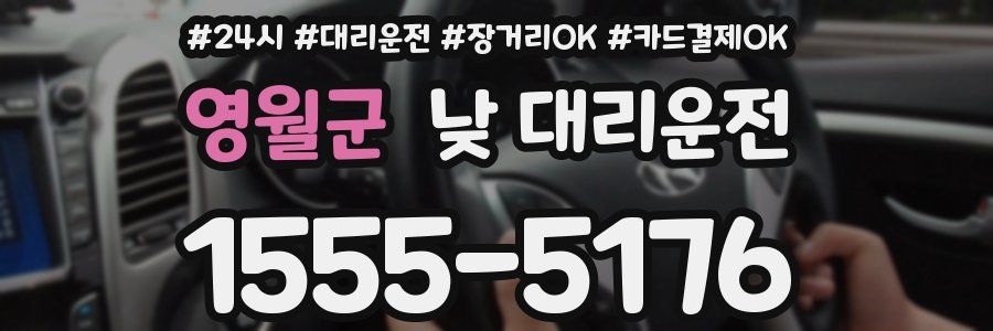영월군 낮 대리운전