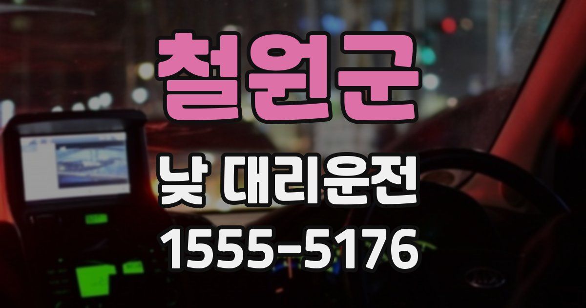 철원군 낮 대리운전