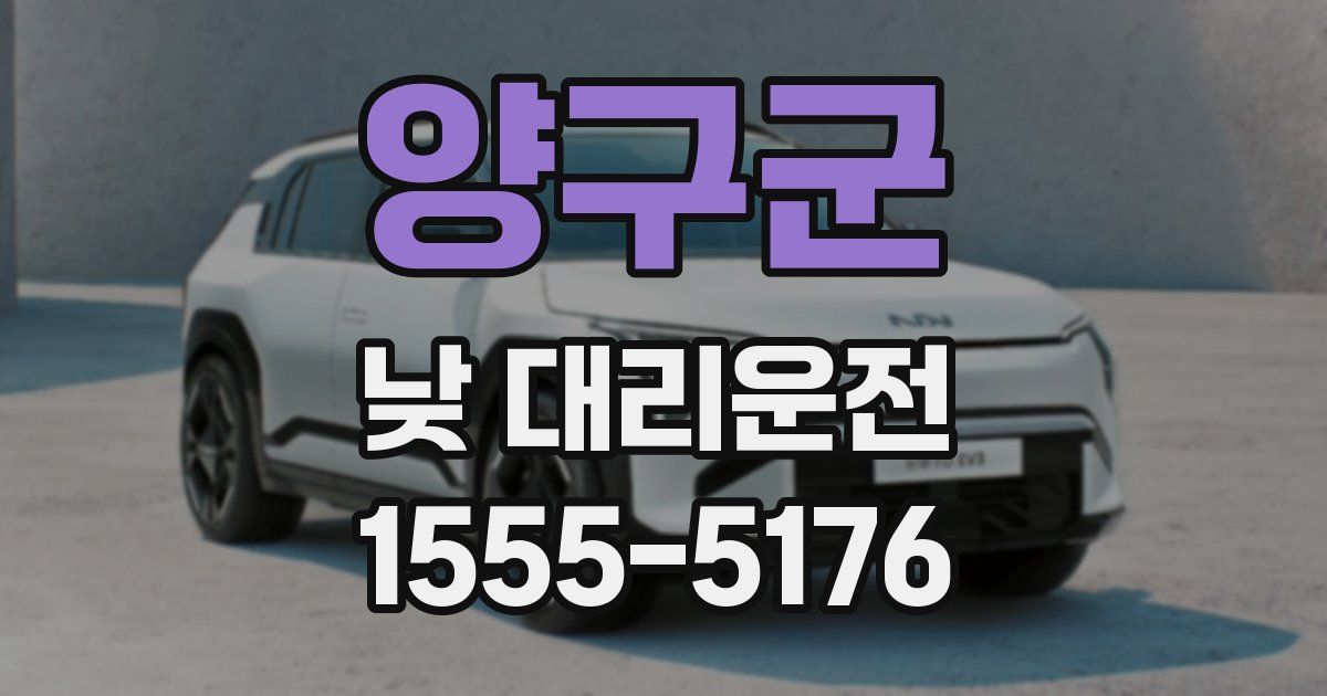 양구군 낮 대리운전