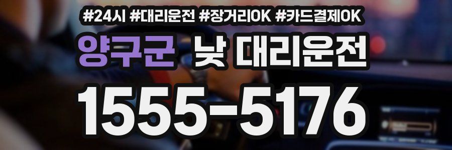 양구군 낮 대리운전