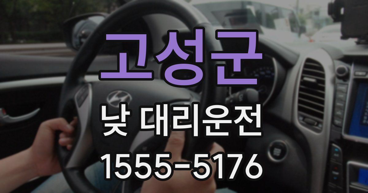 고성군 낮 대리운전
