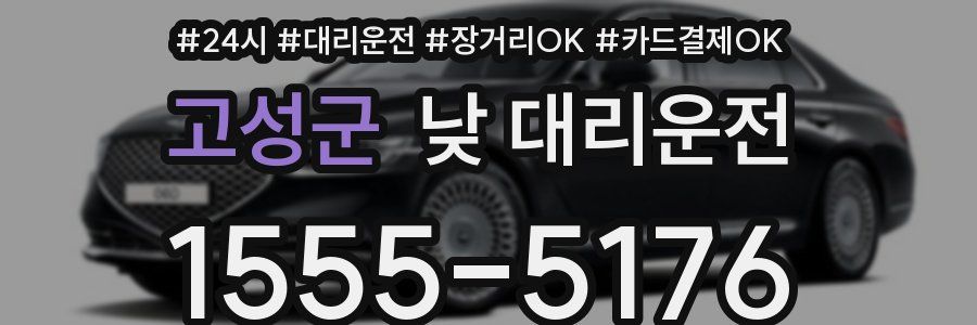 고성군 낮 대리운전