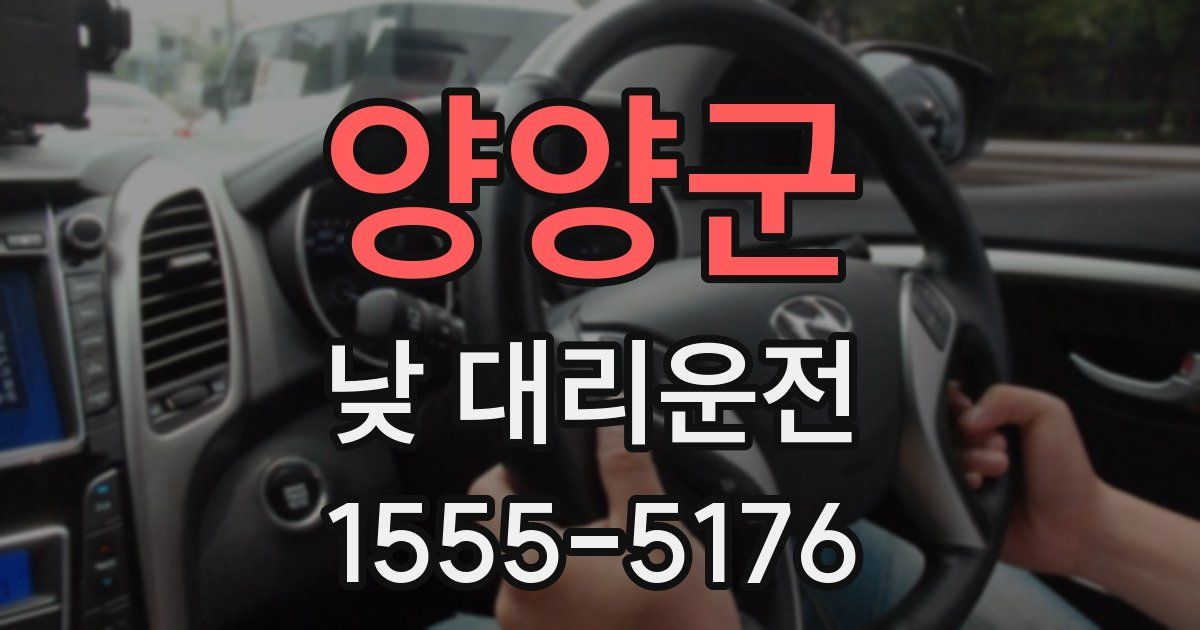 양양군 낮 대리운전