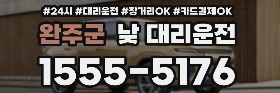 완주군 낮 대리운전