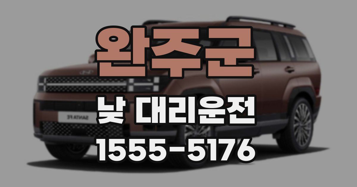 완주군 낮 대리운전