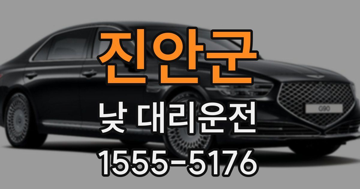 진안군 낮 대리운전